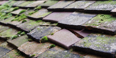 Awre roof repair costs